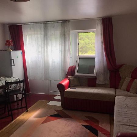 Garsoniera Lazaroiu Apartment Băile Govora Екстериор снимка