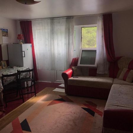 Garsoniera Lazaroiu Apartment Băile Govora Екстериор снимка