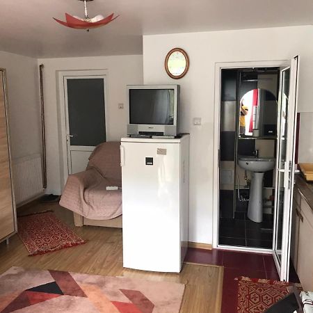 Garsoniera Lazaroiu Apartment Băile Govora Екстериор снимка