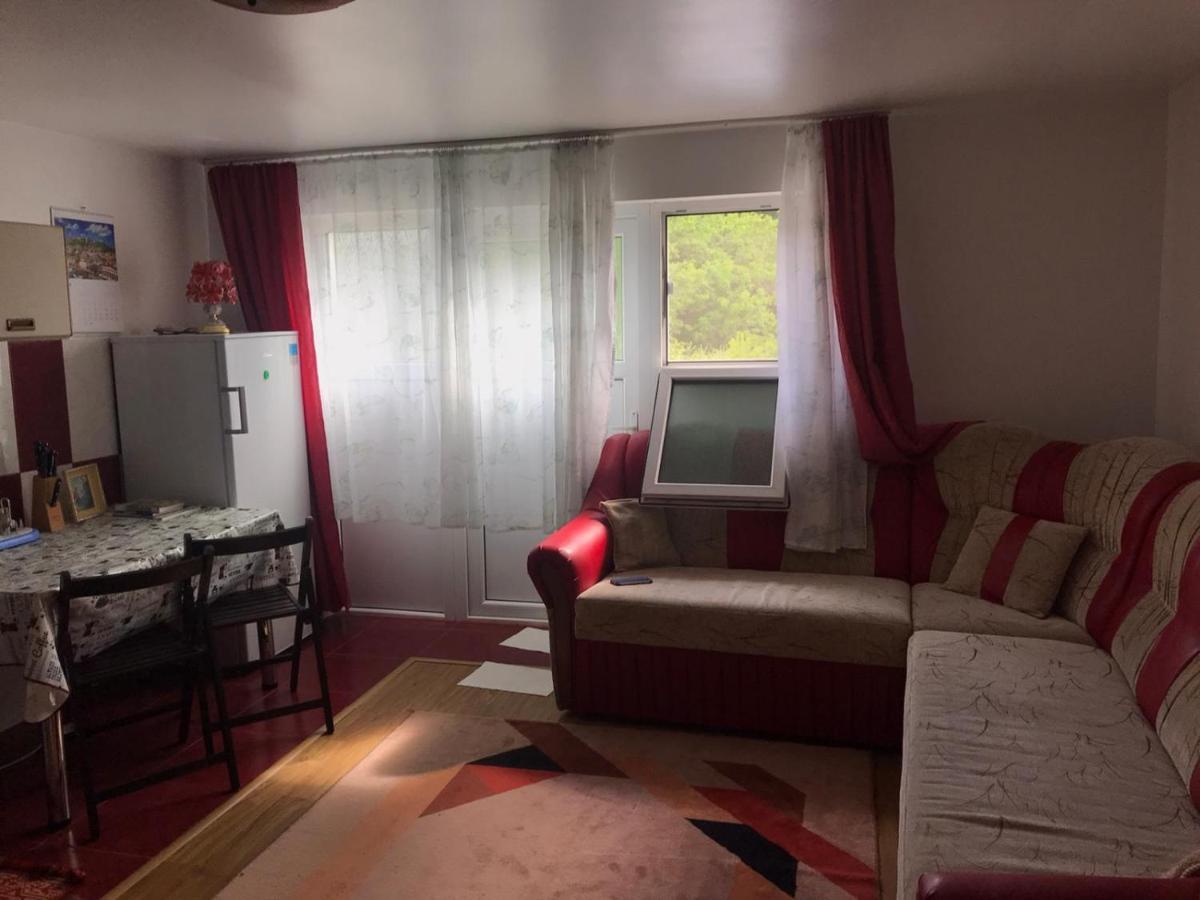 Garsoniera Lazaroiu Apartment Băile Govora Екстериор снимка