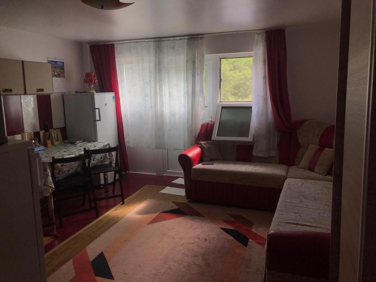 Garsoniera Lazaroiu Apartment Băile Govora Екстериор снимка