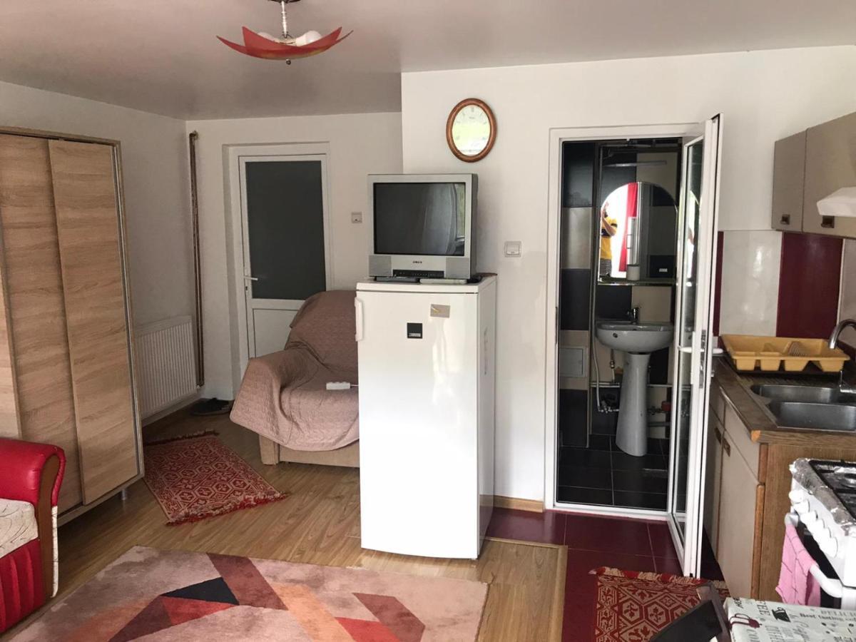 Garsoniera Lazaroiu Apartment Băile Govora Екстериор снимка